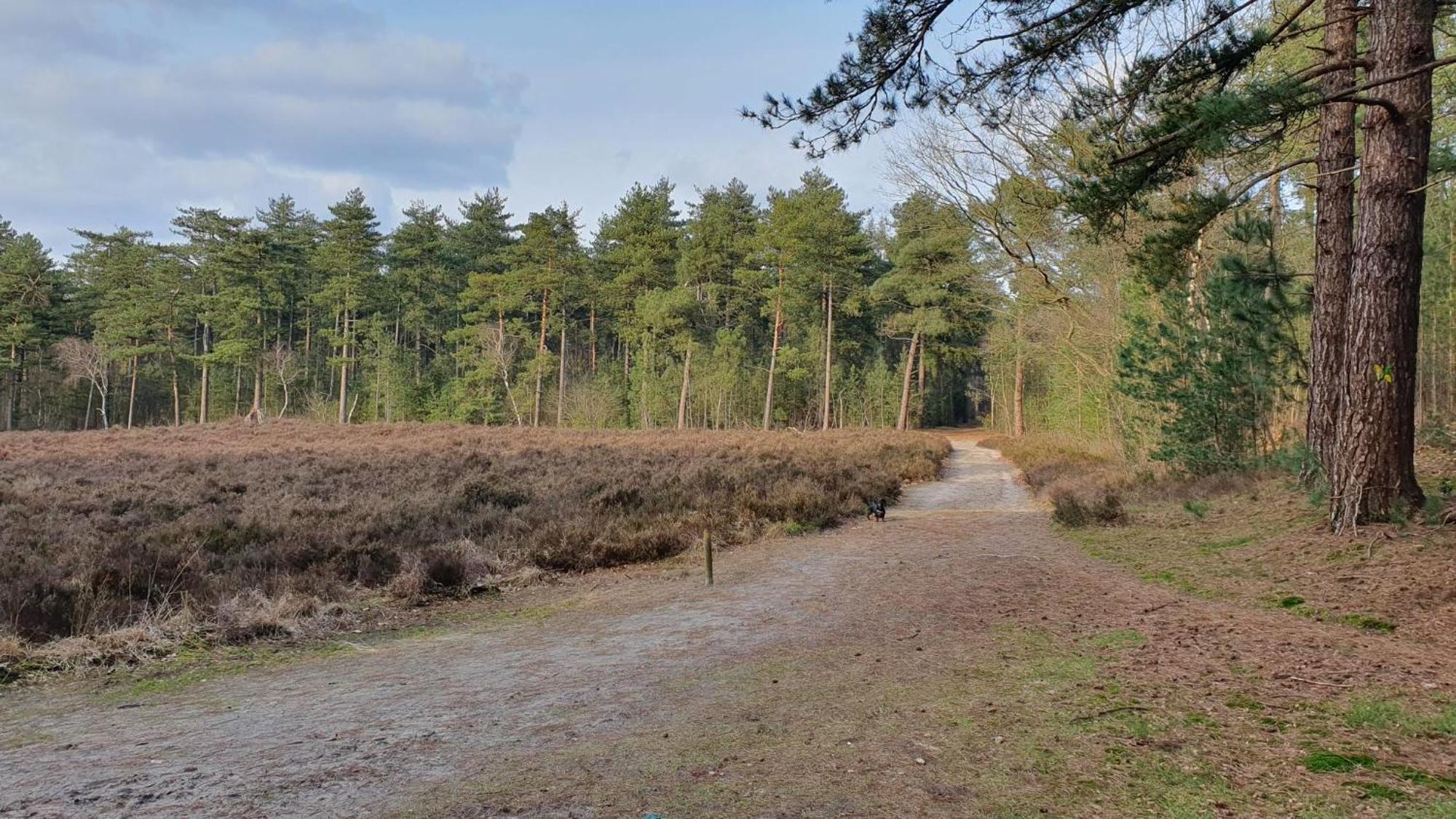 Bed And Breakfast Bij Ons In Het Bos Bergen op Zoom Exterior photo